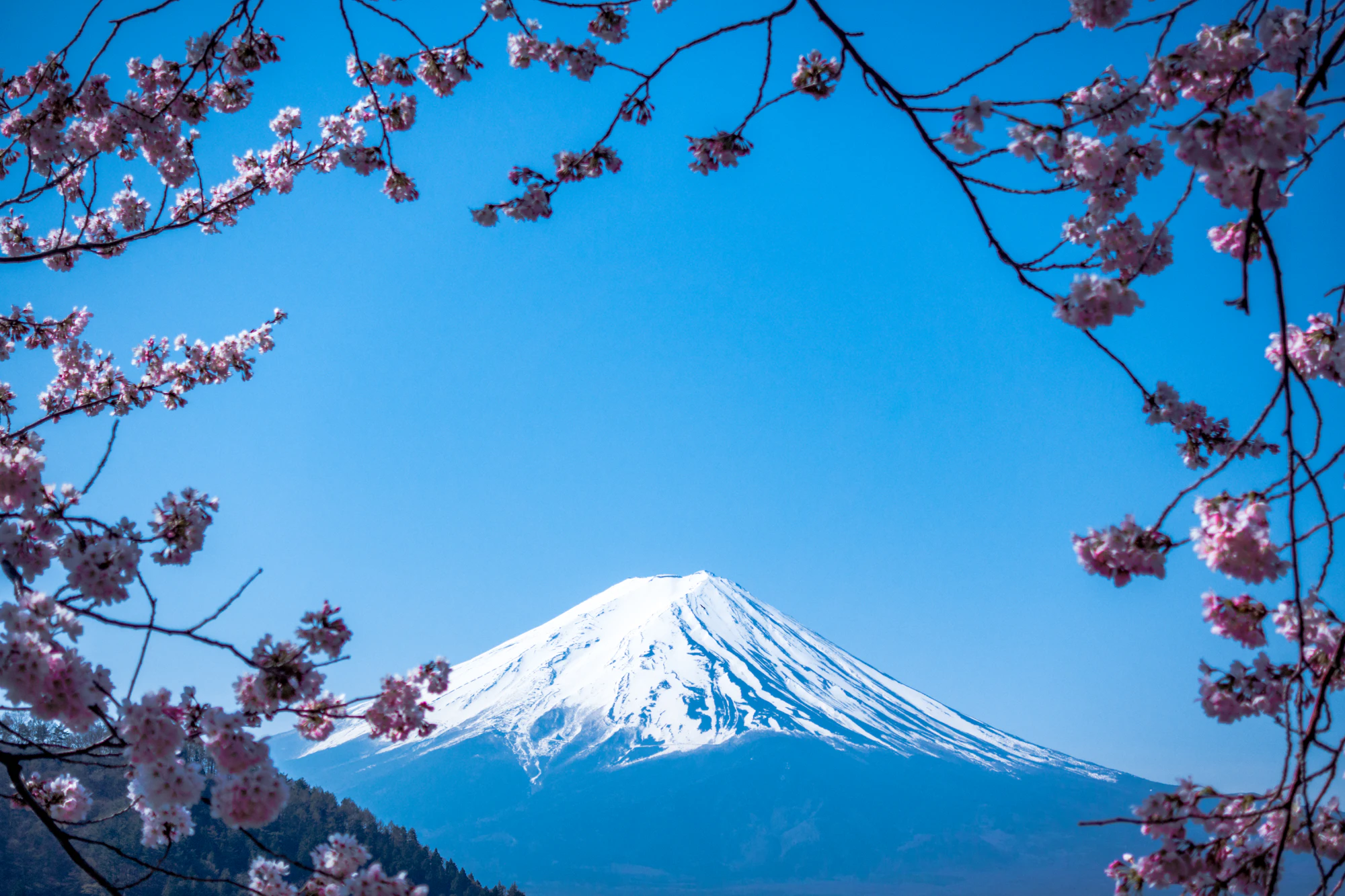 Mt Fuji